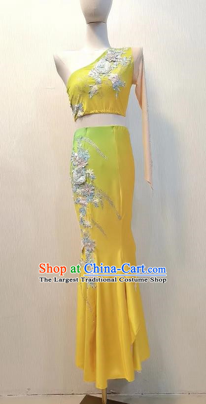 Ethnic Performance Costumes Ethnic Minority Dance Costumes Stage Performance Costumes Dai Art Examination Costumes