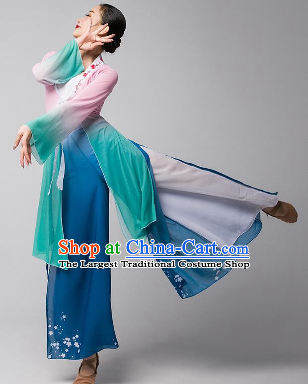 Classical Dance Chinese Ancient Style Gauze Body Elegant Shawl Performance Dance Clothing Practice Clothing Dream Catcher Adult Chiffon