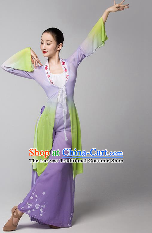 Practice Clothes Modern Dance Dream Catcher Chinese Ancient Style Gauze Clothes Shape Elegant Shawl Performance Dance Clothes