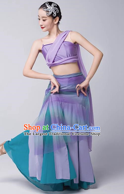 Art Examination Peacock Dance Practice Skirt Dai Dance Costume Female National Dance Performance Clothing