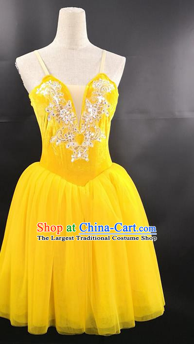 Ballet Performance Costume Long Skirt Custom Dance Aerobics Stage Ballet Costume Gauze Skirt Tutu Skirt Performance Costume