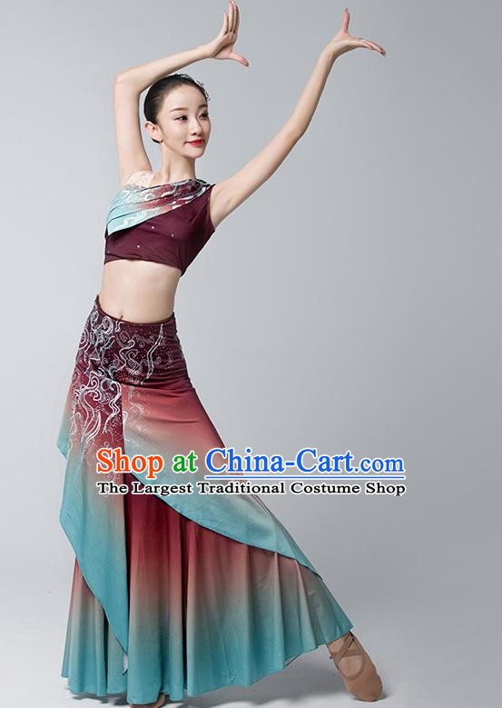 Dai Costume Female Practice Dance Performance Clothing Art Test Practice Skirt Adult Peacock Fishtail Skirt Performance Clothing