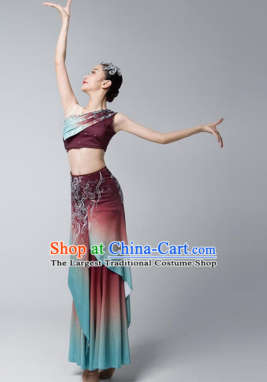 Dai Costume Female Practice Dance Performance Clothing Art Test Practice Skirt Adult Peacock Fishtail Skirt Performance Clothing