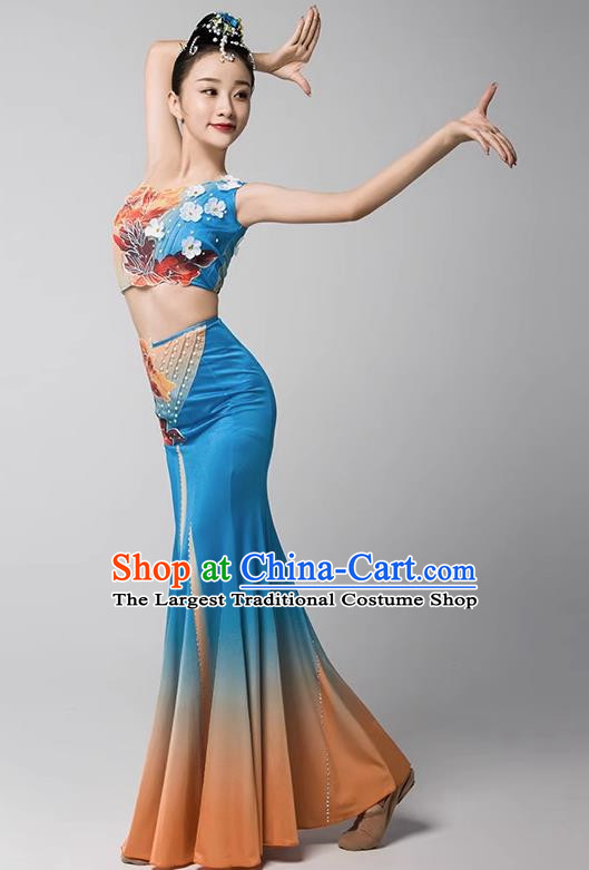 Dai Nationality Dance Art Examination Clothing Gradient Mermaid Skirt Ethnic Minority Dance Performance Clothing