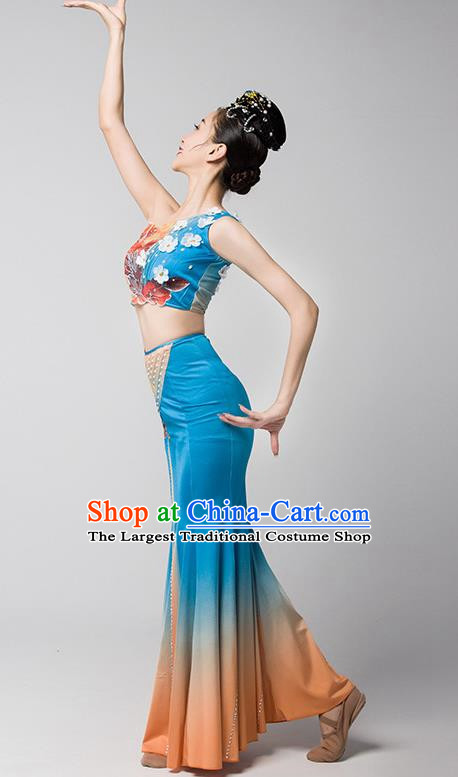 Dai Nationality Dance Art Examination Clothing Gradient Mermaid Skirt Ethnic Minority Dance Performance Clothing