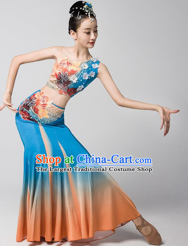 Dai Nationality Dance Art Examination Clothing Gradient Mermaid Skirt Ethnic Minority Dance Performance Clothing