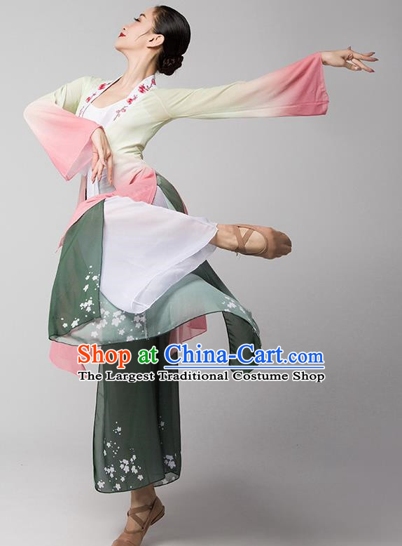 Classical Dance Chinese Dance Long Sleeved Trumpet Sleeve Dance Gauze Body Yoga Body Rhyme Practice Clothing Female