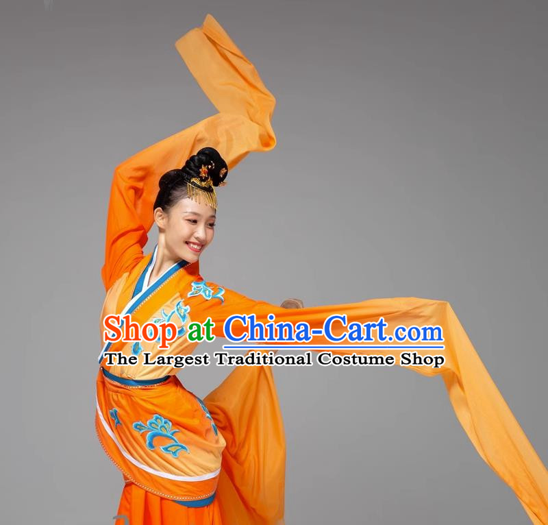 Classical Dance Water Sleeve Dance Costume Jade Dance Long Water Sleeve National Performance Costume