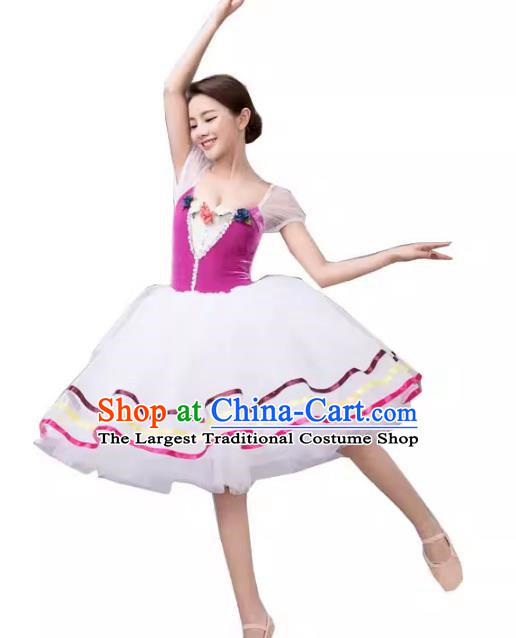 Gauze Skirt Performance Clothing Women White Long Tutu Skirt Ballet Professional Dance Skirt Performance Clothing