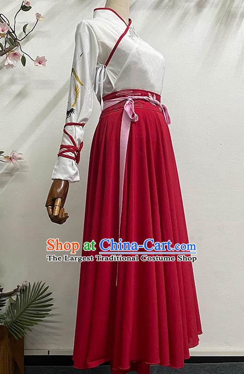 China Classical Dance Book Simple Simple Solid Color Elegant Long Skirt Practice Ancient Style Dance Costume