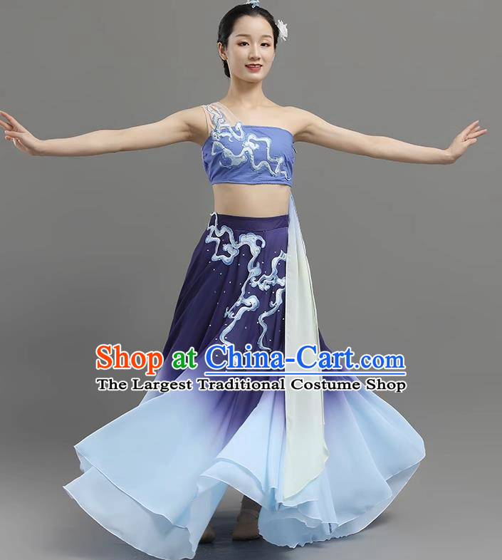 China Classical Dance Dance Under The Moon Dance Costume Big Skirt Practice Art Test Performance Dance Performance Costume