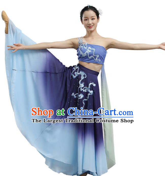 China Classical Dance Dance Under The Moon Dance Costume Big Skirt Practice Art Test Performance Dance Performance Costume