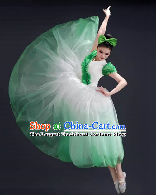 Opening Dance Big Swing Skirt Performance Costume Female Modern Dance Costume Song and Dance Performance Costume Classical Stage Long Skirt