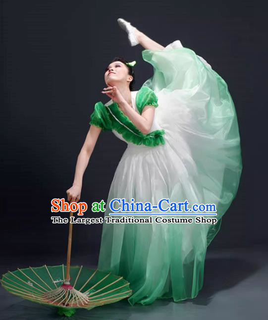 Opening Dance Big Swing Skirt Performance Costume Female Modern Dance Costume Song and Dance Performance Costume Classical Stage Long Skirt