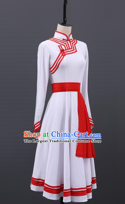 Mongolian Dance Performance Clothing Art Test Custom New Mongolian Costume Test Grade Chinese Ethnic Minorities