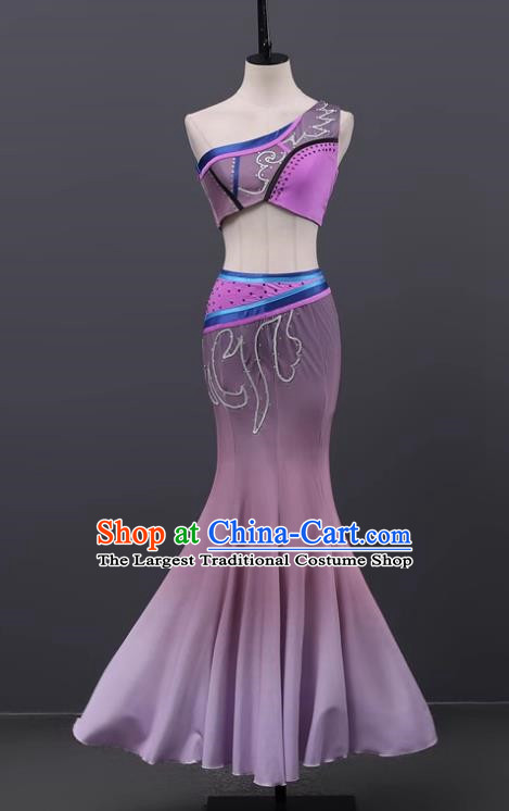 Dai Dance Performance Costumes Female Students Exam Art Examination Practice Chinese Minority Costumes