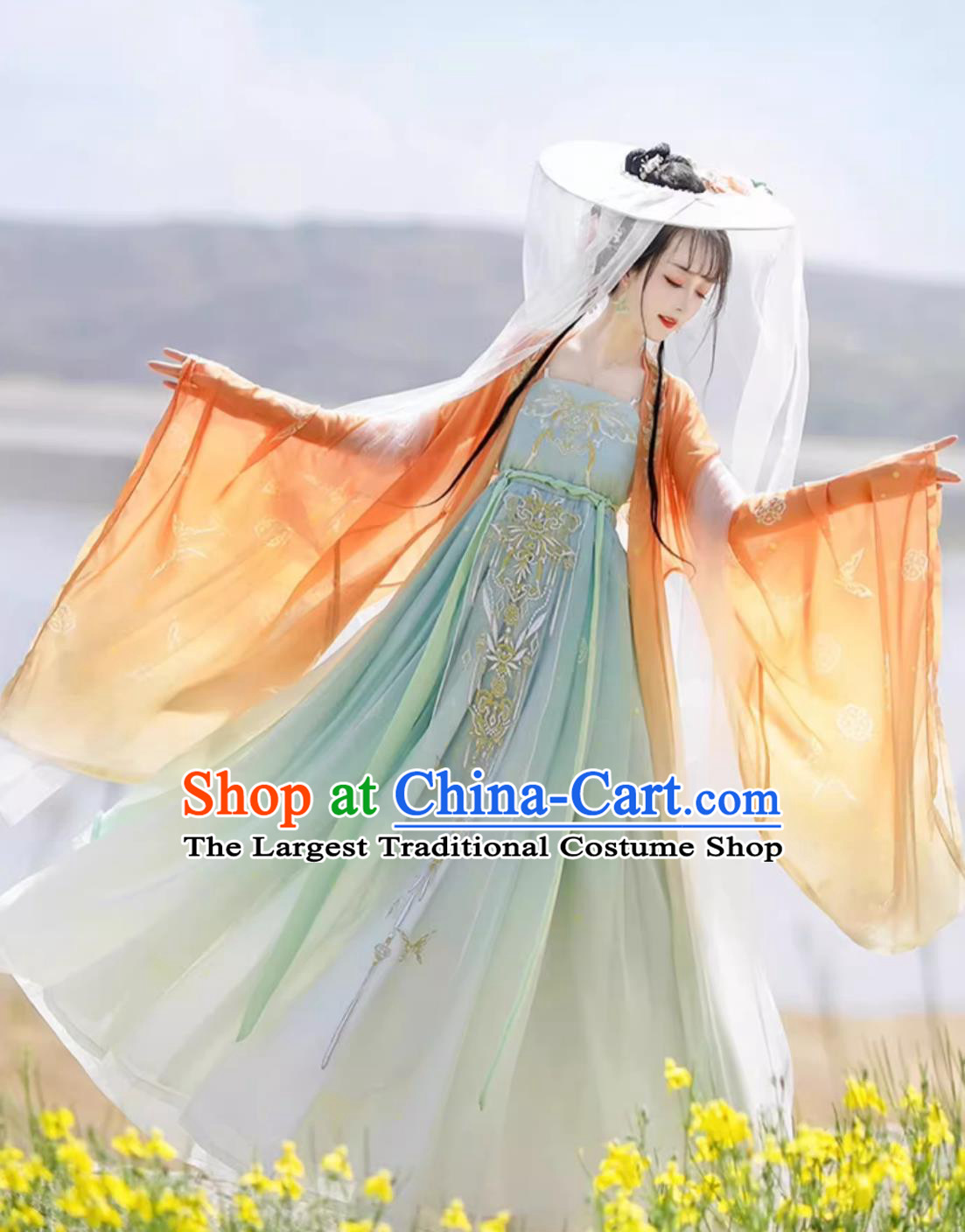 Traditional Chinese Hanfu Dress Ancient China Royal Princess Costume Tang Dynasty Court Woman Clothing