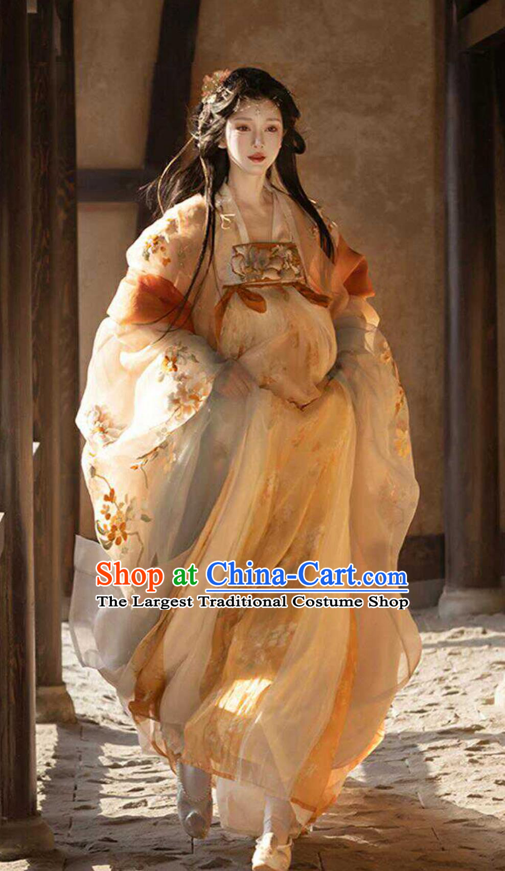 Ancient Chinese Female Costumes China Tang Dynasty Princess Hanfu Clothing Online Buy Embroidered Hezi Qun