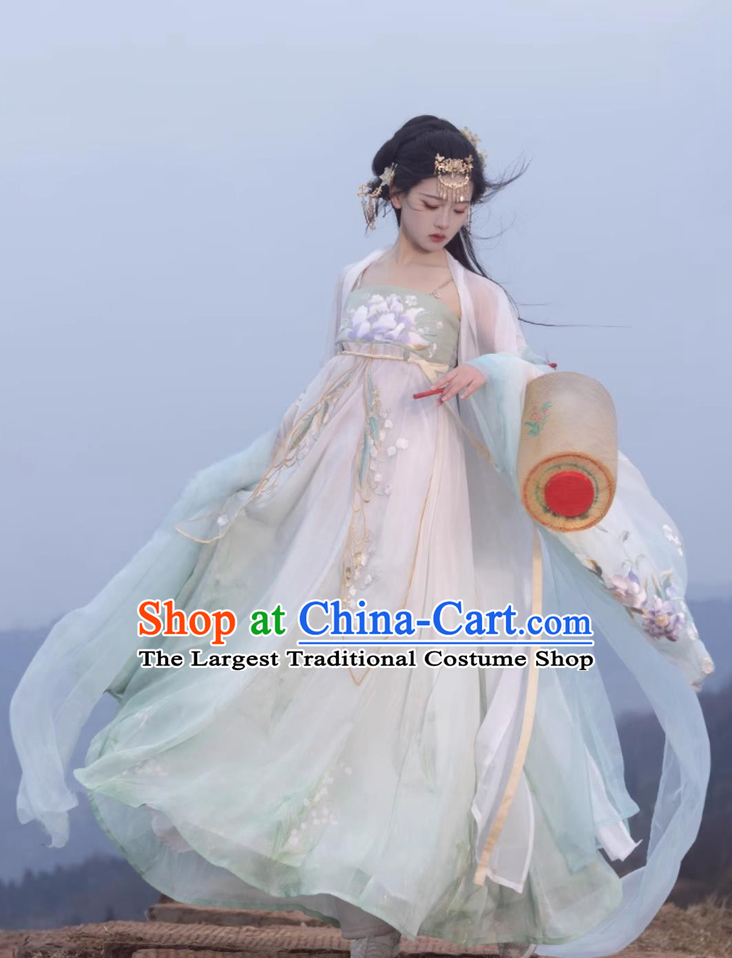 Ancient Chinese Female Costume Traditional Tang Dynasty Princess Hanfu China Classical Hezi Qun