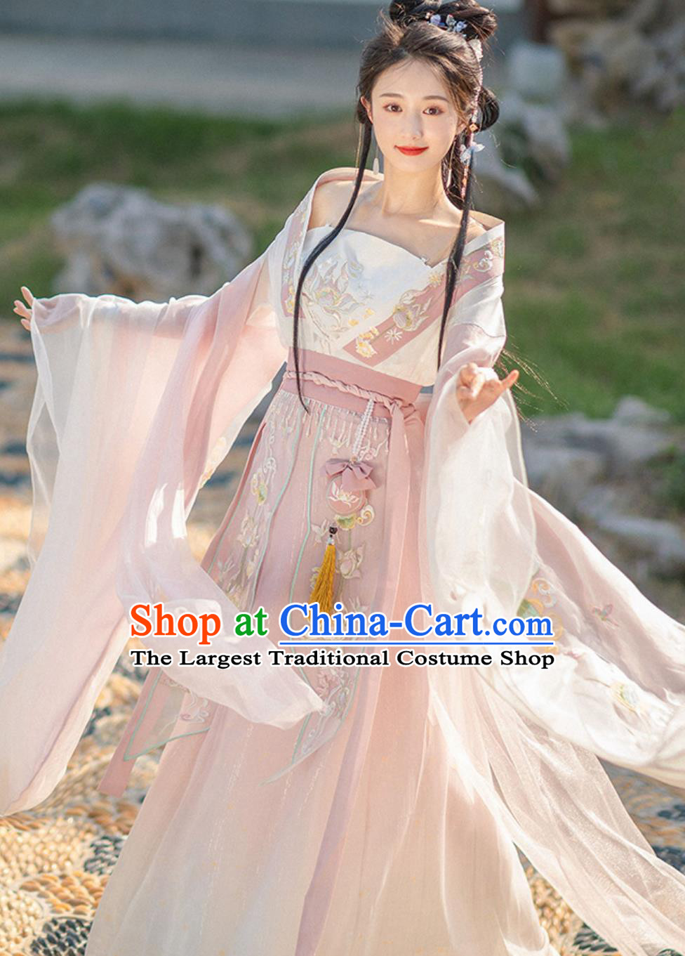 China Traditional Hanfu Embroidered Pink Dress Ancient Chinese Clothing Southern and Northern Dynasties Young Woman Costume