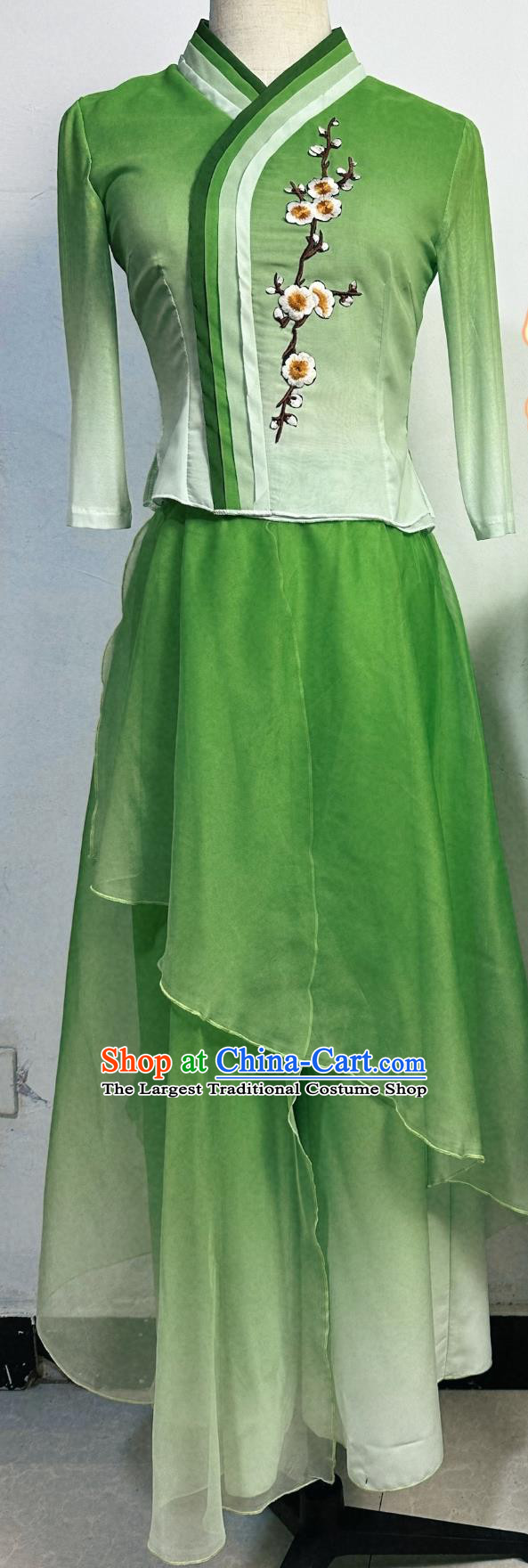 Green Soil Can Be Fragrant Dance Art Exam Costume Stage Performance Costume