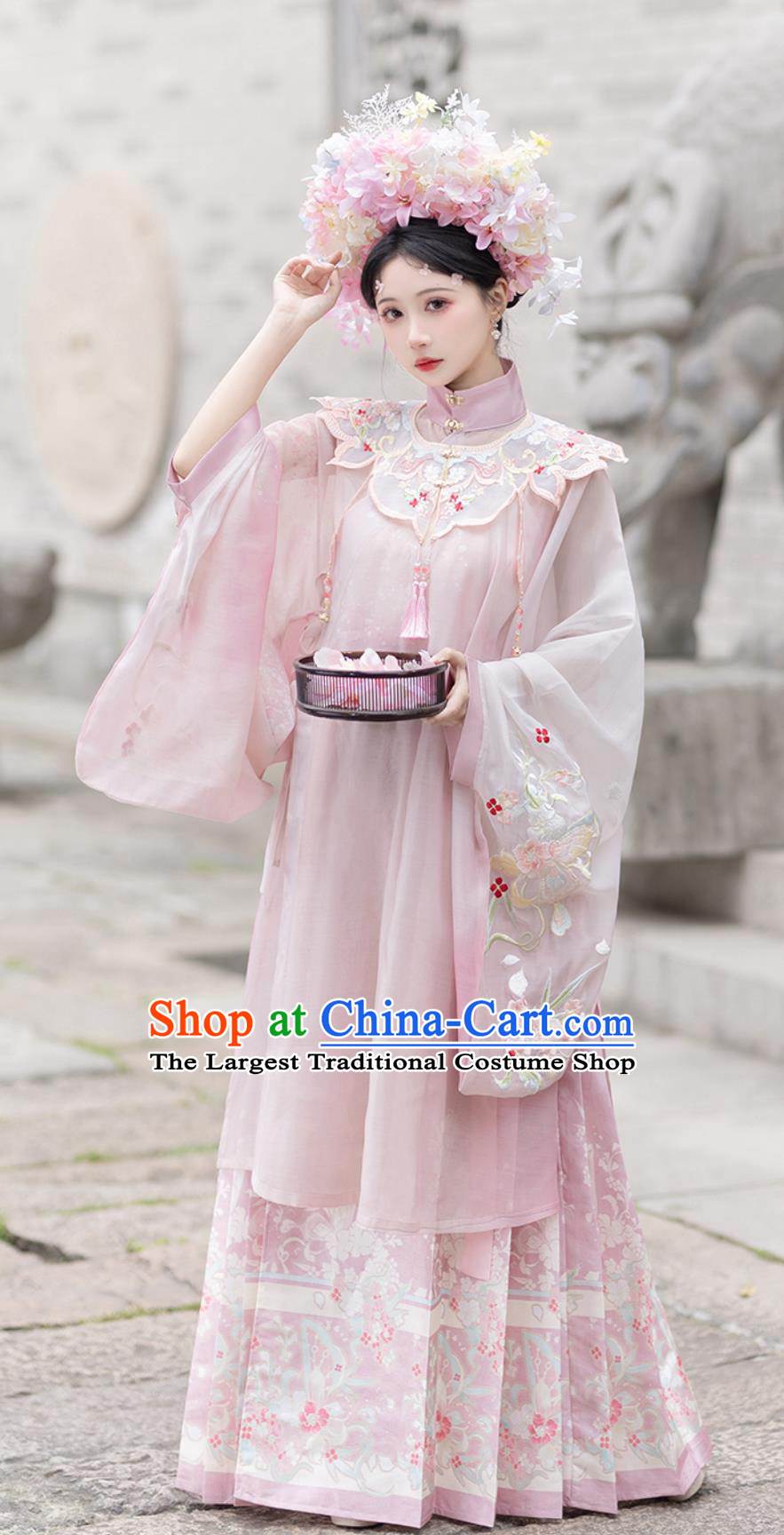 Traditional Chinese Attire Ming Dynasty Hanfu Women Cloud Collar Long Gown Horse Face Skirt Complete Set