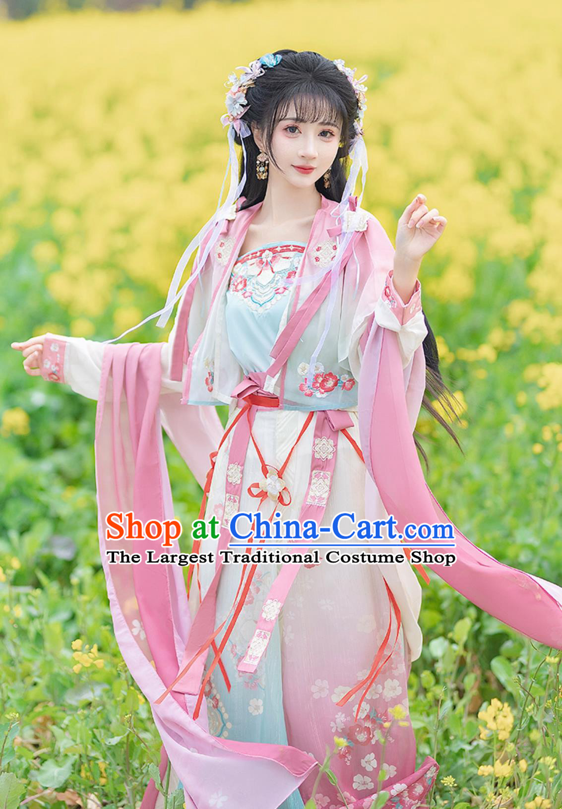 Song Dynasty Hanfu Women Ancient Chinese Costume Blouse Top and Skirt Complete Set