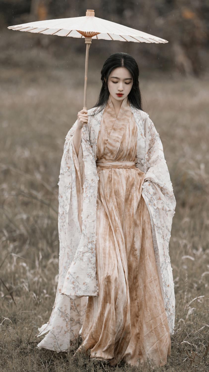 Chinese Hanfu Dress Embroidered Wide Sleeve Long Gown Traditional Straight Hem Robe