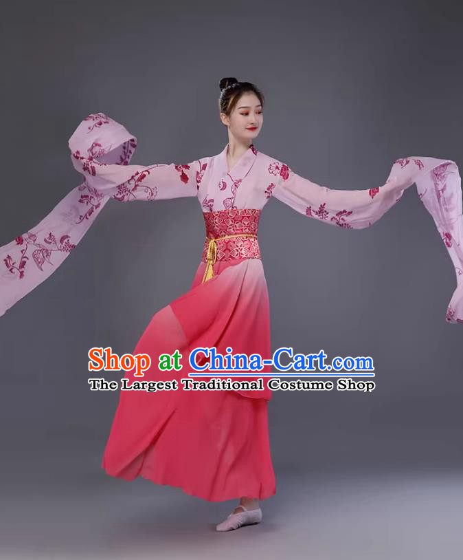 Women Stage Performance Attire Classical Dance Hanfu Dress Chinese Long Sleeve Dance Costume