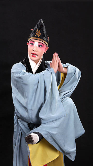 mardi gras costumes masquerade costumes halloween costumes korean fashion online wholesale asia fashion wholesale korean clothes chinese cheongsam chinese traditional dress qipao