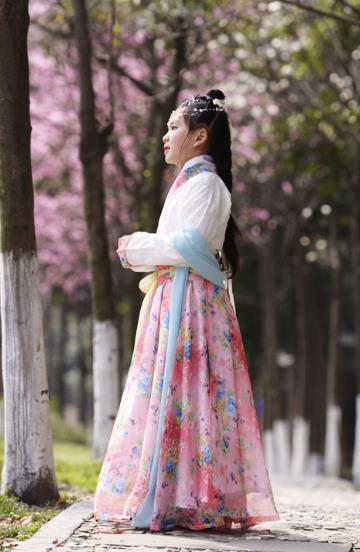 Ancient Chinese Costume Chinese Style Wedding Dress Tang Dynasty princess Clothing