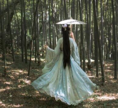 Traditional Chinese Jin Dynasty Swordswoman Embroidered Hanfu Dress Ancient Drama Court Princess Historical Costume for Women