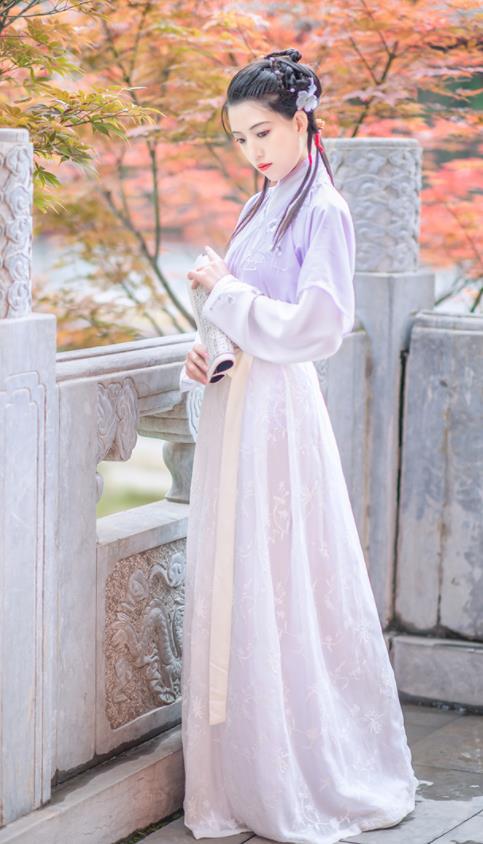 Chinese Ancient Ming Dynasty Nobility Lady Hanfu Dress Antique Traditional Court Princess Historical Costume for Women