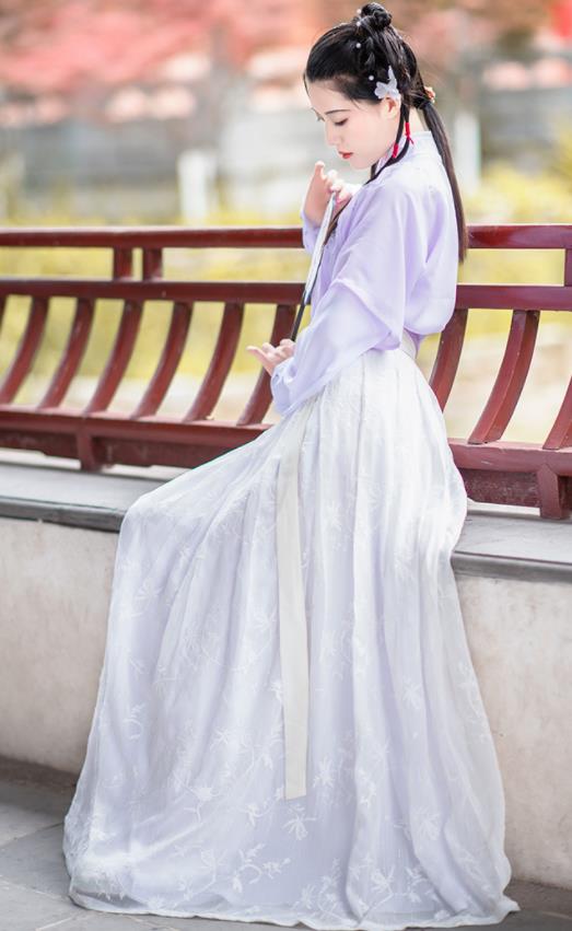 Chinese Ancient Ming Dynasty Nobility Lady Hanfu Dress Antique Traditional Court Princess Historical Costume for Women