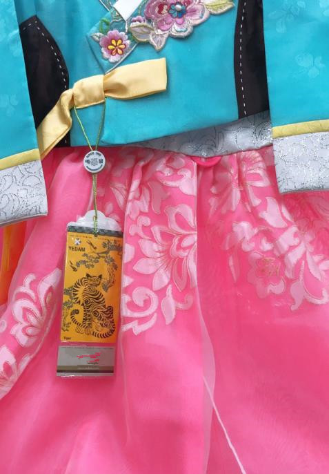 Asian Korea Court Hanbok Clothing Girl Performance Blue Blouse and Pink Dress Traditional Korean Fashion Garments