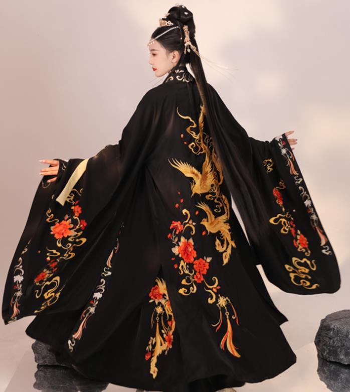 China Jin Dynasty Palace Princess Embroidered Clothing Traditional Historical Garment Costume Ancient Fairy Black Hanfu Dress